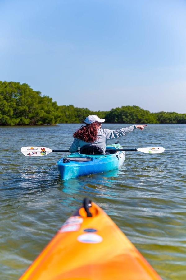 Candlewood Suites - Safety Harbor By Ihg Eksteriør bilde